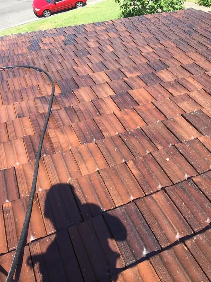 a clean just pressure washed tiled roof