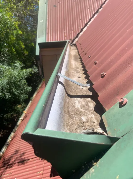 gutters after being professional vacuumed