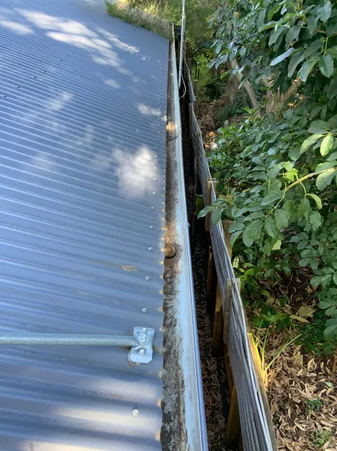 Cleaned out gutters